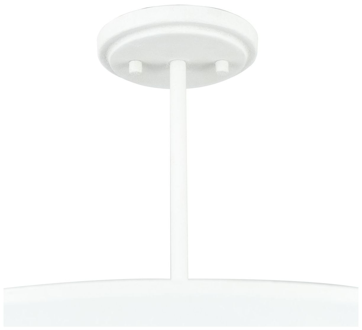 Pinellas Collection 25 in. Four-Light Flush Mount