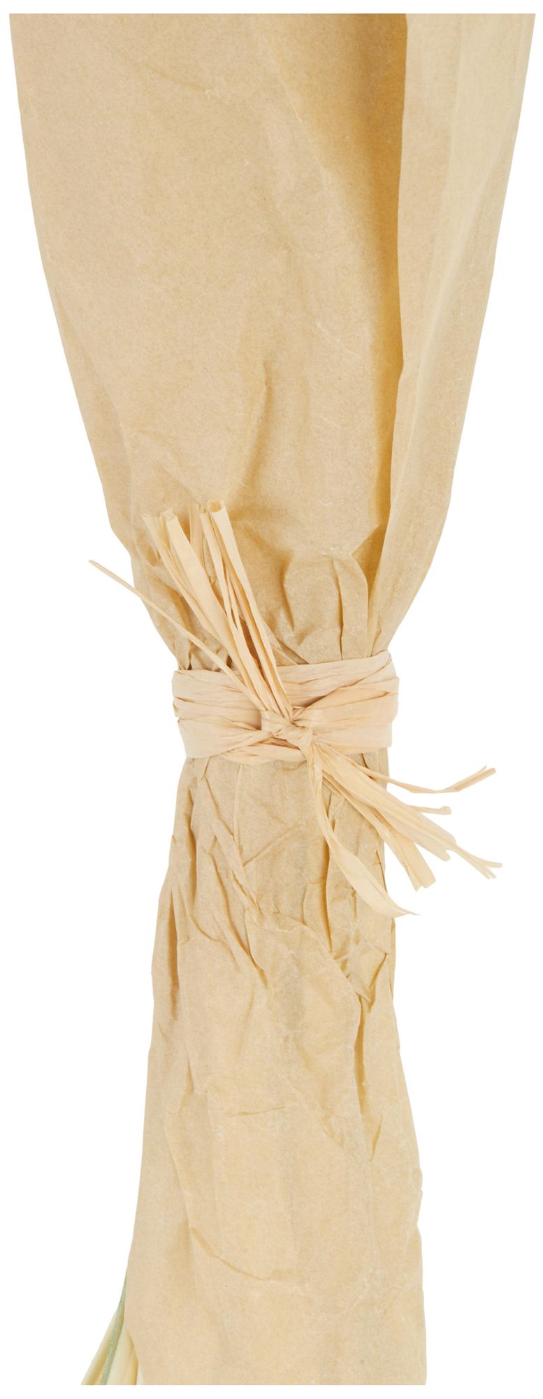 Image 4 Pink Dried Plant French Country Natural Foliage, 6" x 6" x 41" more views