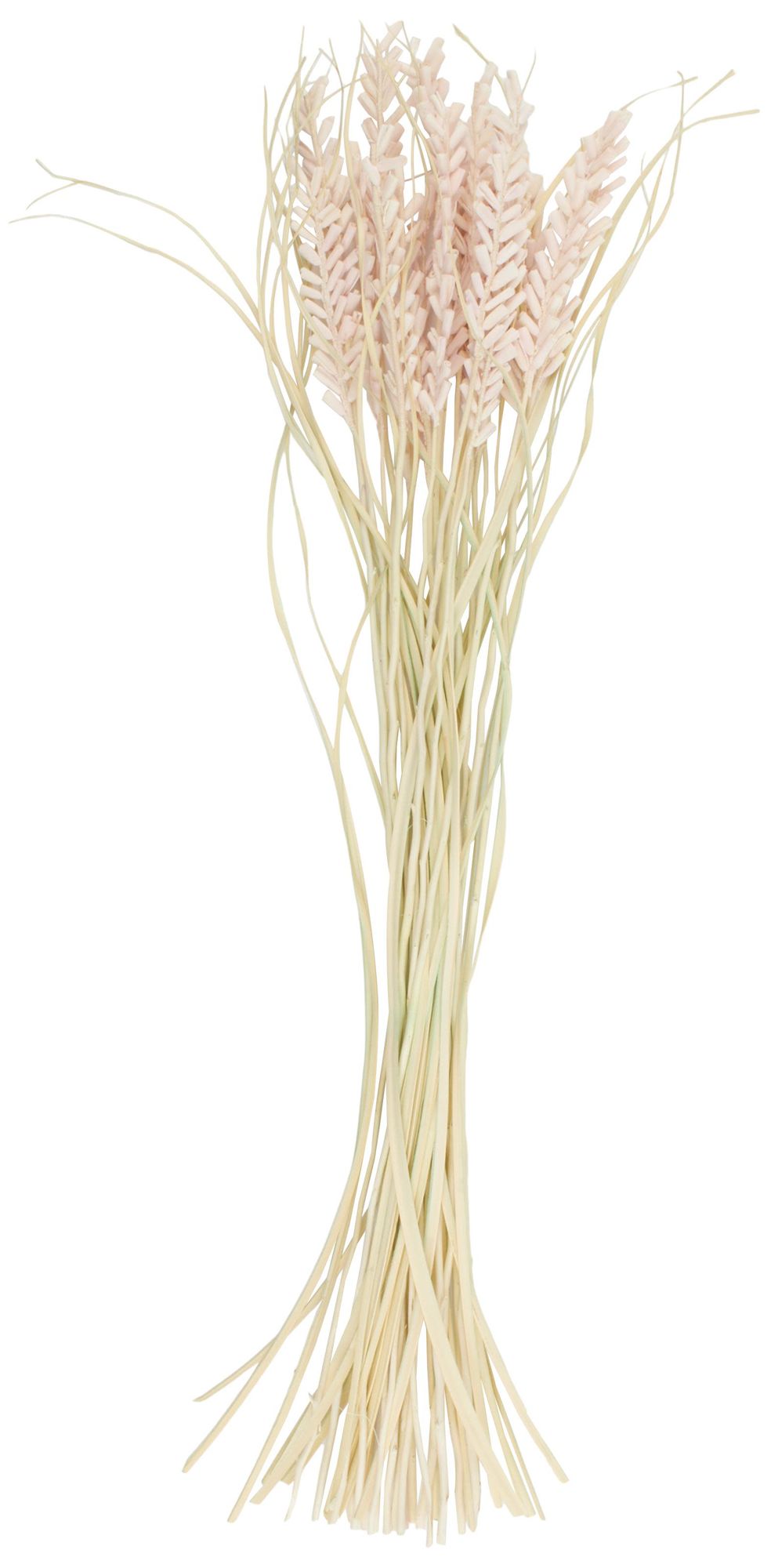 Image 5 Pink Dried Plant French Country Natural Foliage, 6" x 6" x 41" more views