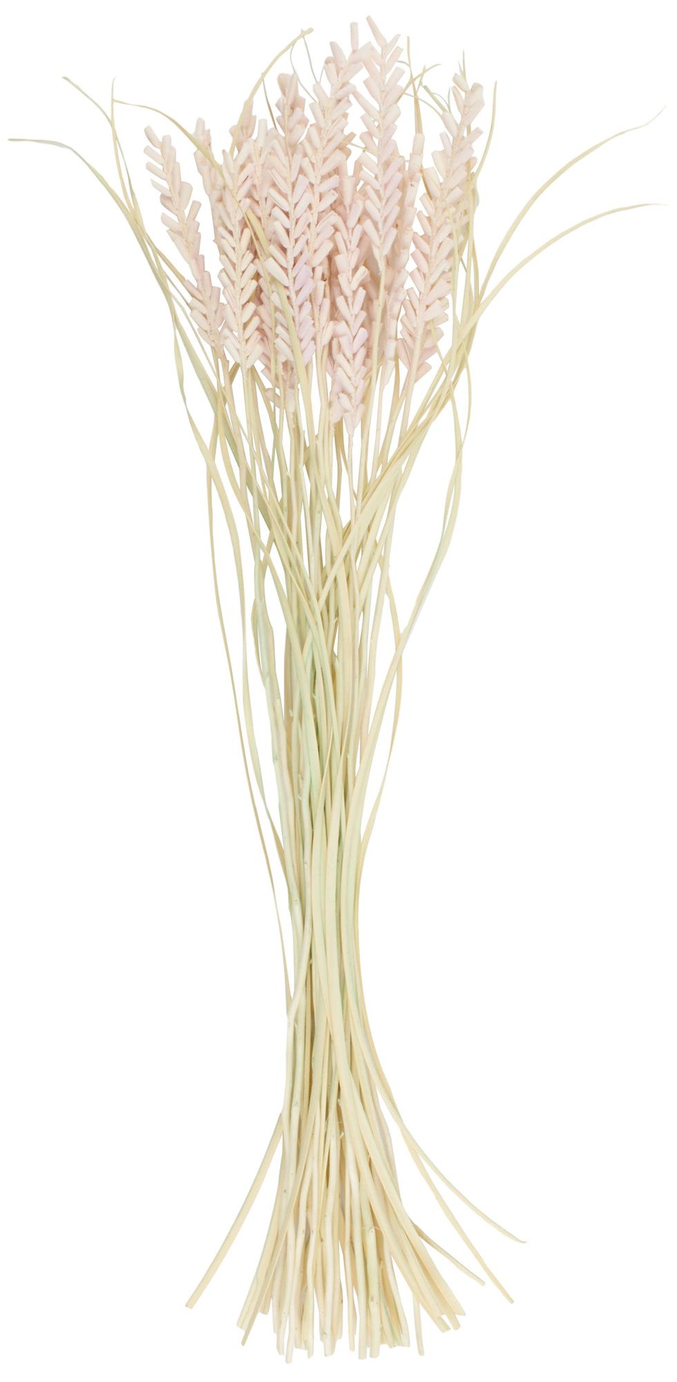 Image 6 Pink Dried Plant French Country Natural Foliage, 6" x 6" x 41" more views