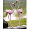 Pink Flamingo Aluminum Outdoor Garden Statues Set of 2