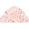 Pink Garden 60" Wide Queen Headboard Removeable Wall Decal