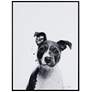 2_Pitbull 24"x18" Rectangular Printed Glass Framed Wall Art