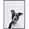Pitbull 24"x18" Rectangular Printed Glass Framed Wall Art