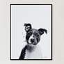 1_Pitbull 24"x18" Rectangular Printed Glass Framed Wall Art