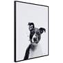 5_Pitbull 24"x18" Rectangular Printed Glass Framed Wall Art more views