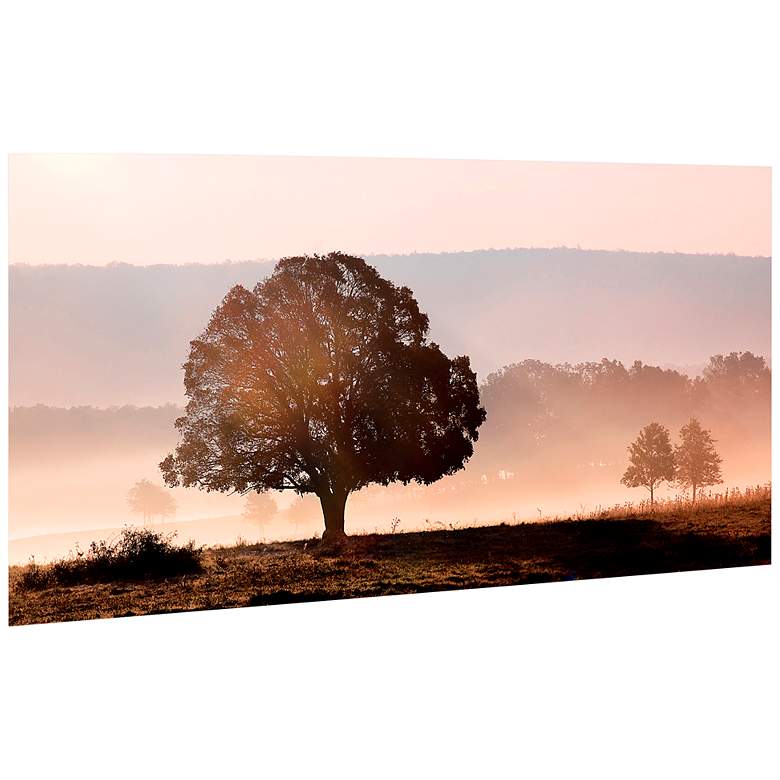 Image 4 Plain View 50 3/4"W Free Floating Tempered Glass Wall Art more views