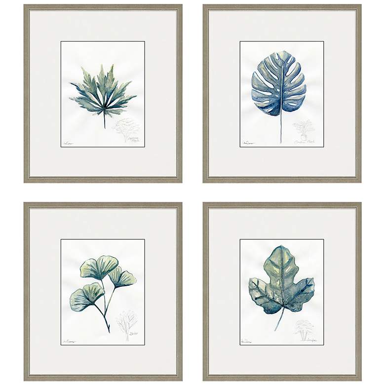 Image 3 Plant Drawings 17" Wide 4-Piece Framed Giclee Wall Art Set