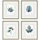Plant Drawings 17" Wide 4-Piece Framed Giclee Wall Art Set