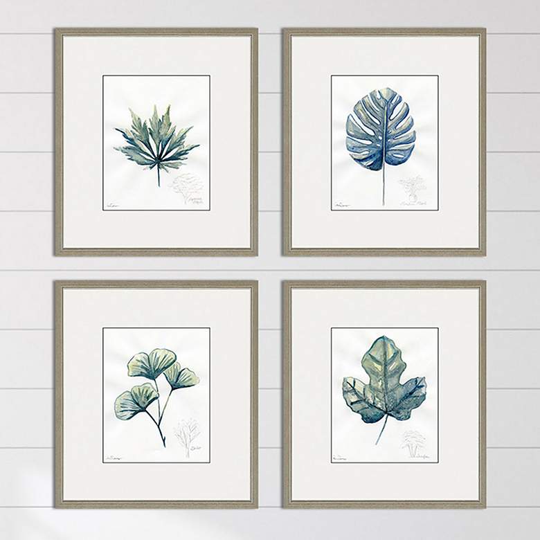 Image 2 Plant Drawings 17" Wide 4-Piece Framed Giclee Wall Art Set