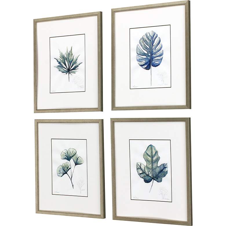 Image 5 Plant Drawings 17" Wide 4-Piece Framed Giclee Wall Art Set more views