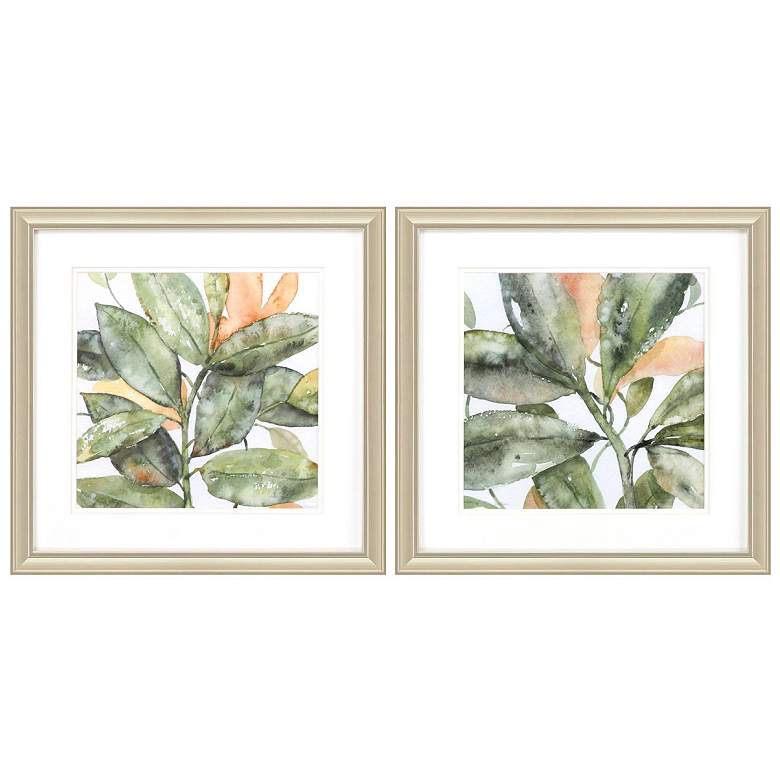 Image 1 Plant Life 18"W x 18"H Framed Art Set of 2