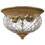 Plantation Collection Burnished Brass 12" Wide Ceiling Light