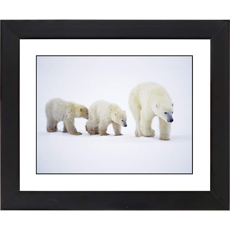 Image 1 Polar Bear And Cubs Black Frame Giclee 23 1/4 inch Wide Wall Art