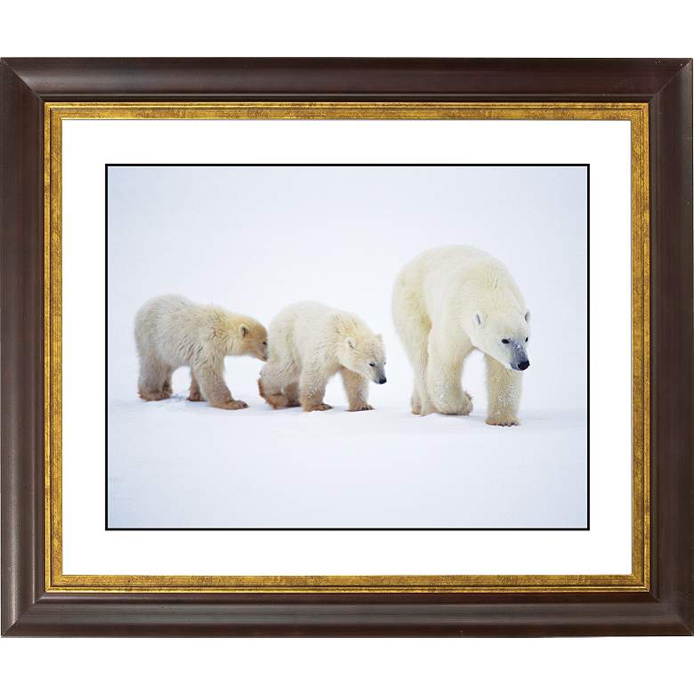 Image 1 Polar Bear And Cubs Gold Bronze Frame 20 inch Wide Wall Art