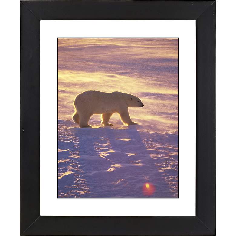 Image 1 Polar Bear Black Frame Giclee 23 1/4 inch High Wall Art