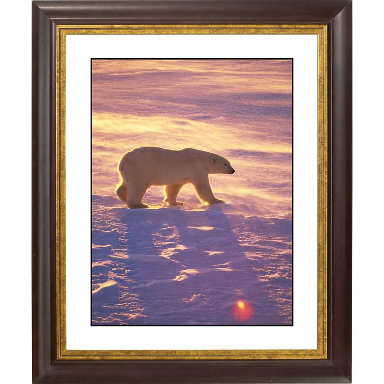 Image 1 Polar Bear Gold Bronze Frame Giclee 20 inch High Wall Art