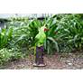 Polly 20"H Green Brown Outdoor Parrot Statue with Spotlight