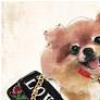 3_Pomeranian Unframed 23 1/4" Square Glass Graphic Wall Art more views
