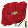 Poppy 18" Square Floral Throw Pillow