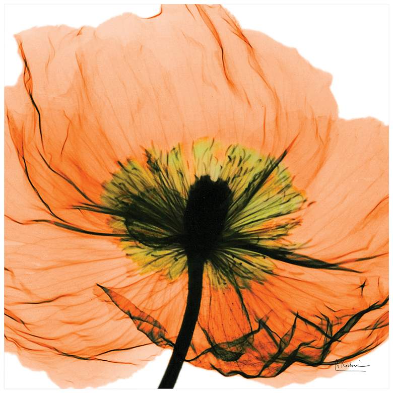 Image 3 Poppy Orange 24 inch Square Tempered Glass Graphic Wall Art