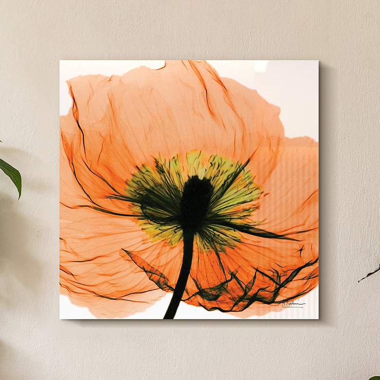 Image 1 Poppy Orange 24 inch Square Tempered Glass Graphic Wall Art