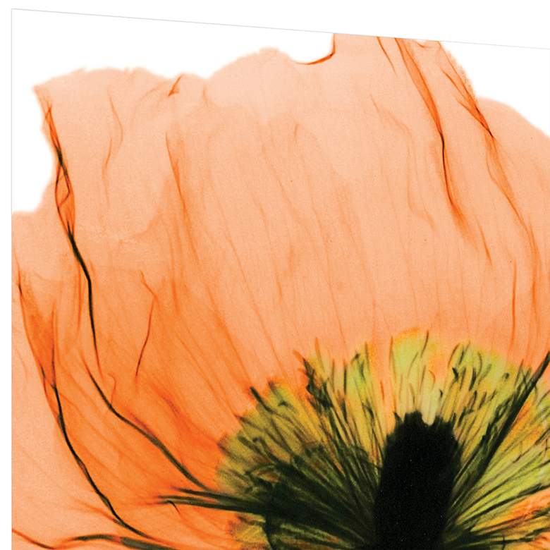 Image 4 Poppy Orange 24" Square Tempered Glass Graphic Wall Art more views