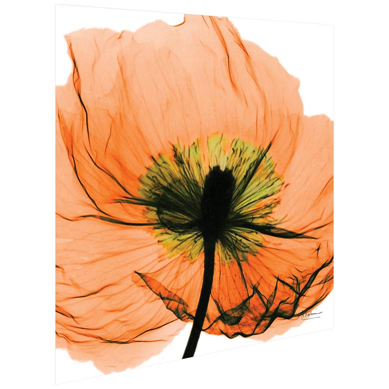 Image 5 Poppy Orange 24" Square Tempered Glass Graphic Wall Art more views