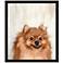 Poppy the Pom 20 In. by 24 In.  Framed Art