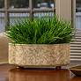 Thumbnail1 of Port 68 Ghost Blossom Green Vine Oval Planter