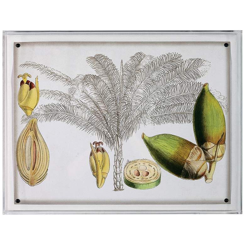 Image 1 Port 68 Tropical Foliage I 26" Wide Giclee Framed Wall Art
