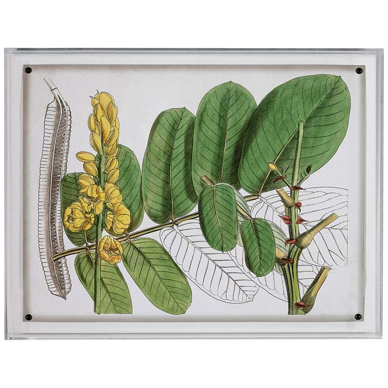 Image 1 Port 68 Tropical Foliage II 26 inch Wide Giclee Framed Wall Art