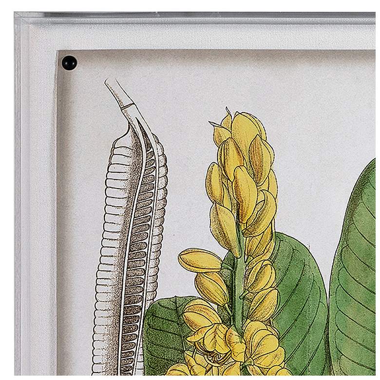 Image 2 Port 68 Tropical Foliage II 26" Wide Giclee Framed Wall Art more views