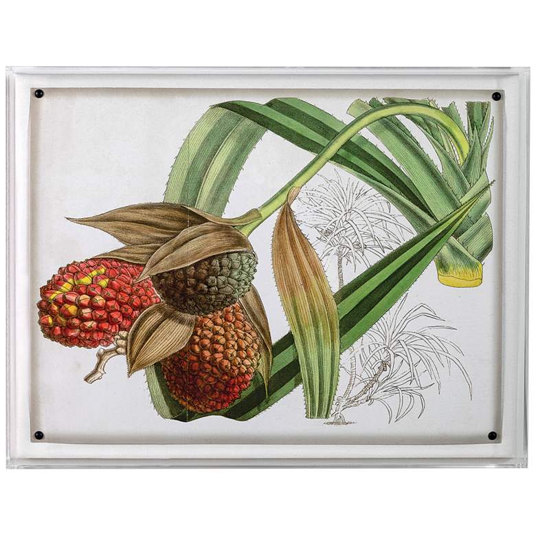 Image 1 Port 68 Tropical Foliage III 26" Wide Giclee Framed Wall Art
