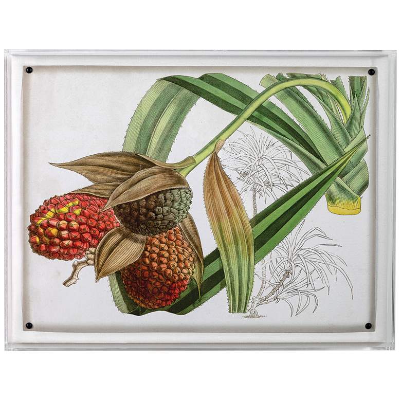 Image 1 Port 68 Tropical Foliage III 26 inch Wide Giclee Framed Wall Art