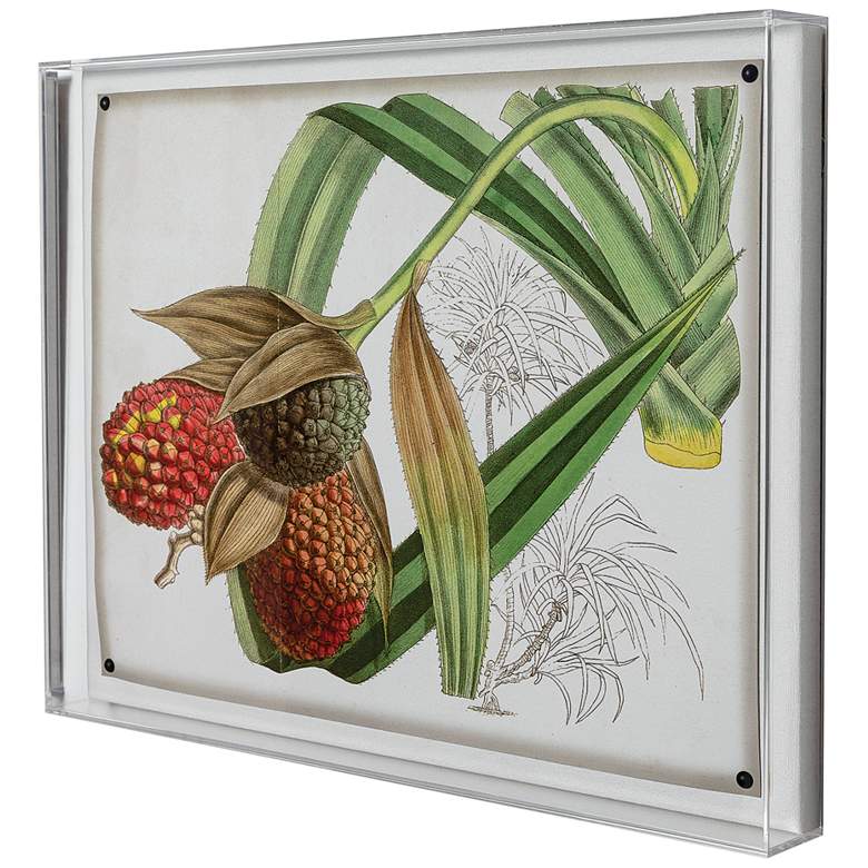 Image 3 Port 68 Tropical Foliage III 26 inch Wide Giclee Framed Wall Art more views