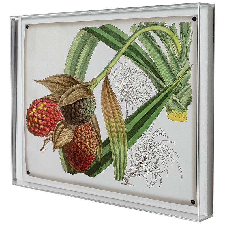 Image 3 Port 68 Tropical Foliage III 26" Wide Giclee Framed Wall Art more views