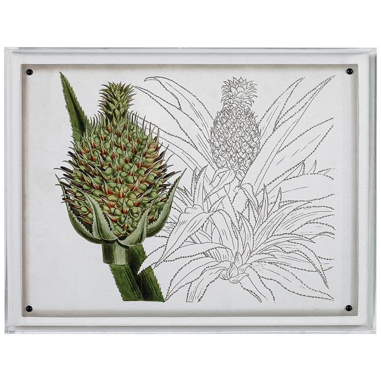 Image 1 Port 68 Tropical Foliage IV 26 inch Wide Giclee Framed Wall Art