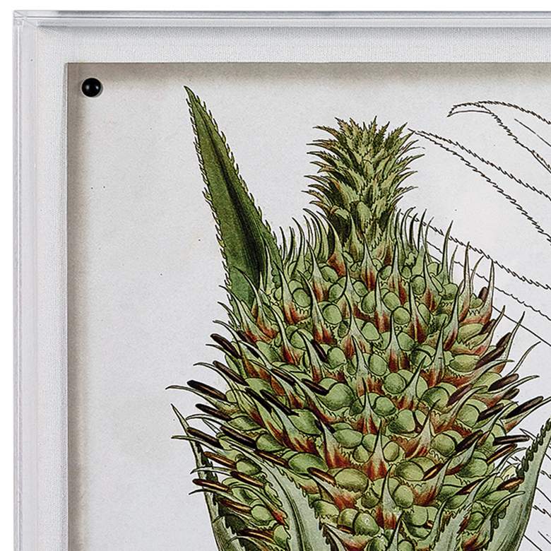 Image 2 Port 68 Tropical Foliage IV 26" Wide Giclee Framed Wall Art more views