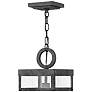 3_Porter 19" High Outdoor Hanging Light by Hinkley Lighting more views
