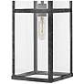 5_Porter 19" High Outdoor Hanging Light by Hinkley Lighting more views