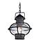 Portsmouth Collection 12" High Outdoor Hanging Light