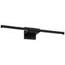 2_Possini Euro Anthony 24" Wide Black ED Picture Light