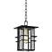 Possini Euro Arley 12 1/2" High Black Outdoor Hanging Light