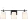2_Possini Euro Barnes 24" Wide Black 3-Light Bath Light
