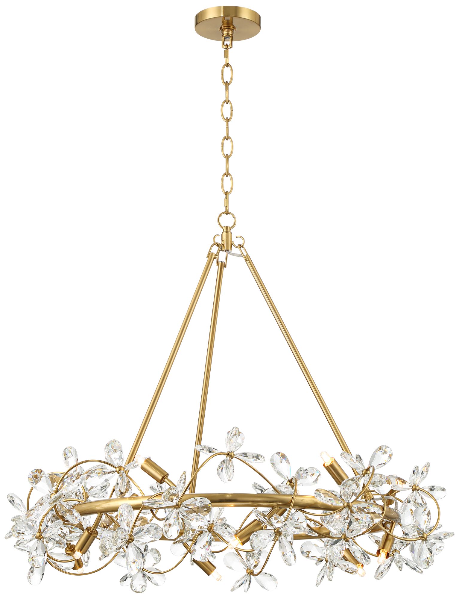 Watch A Video About the Possini Euro Carrine Gold and Flower Crystal Pendant