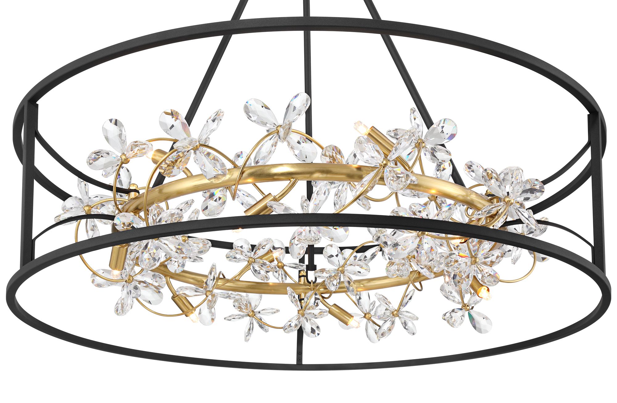 Watch A Video About the Possini Euro Carrine Black and Gold 12 Light LED Ring Pendant