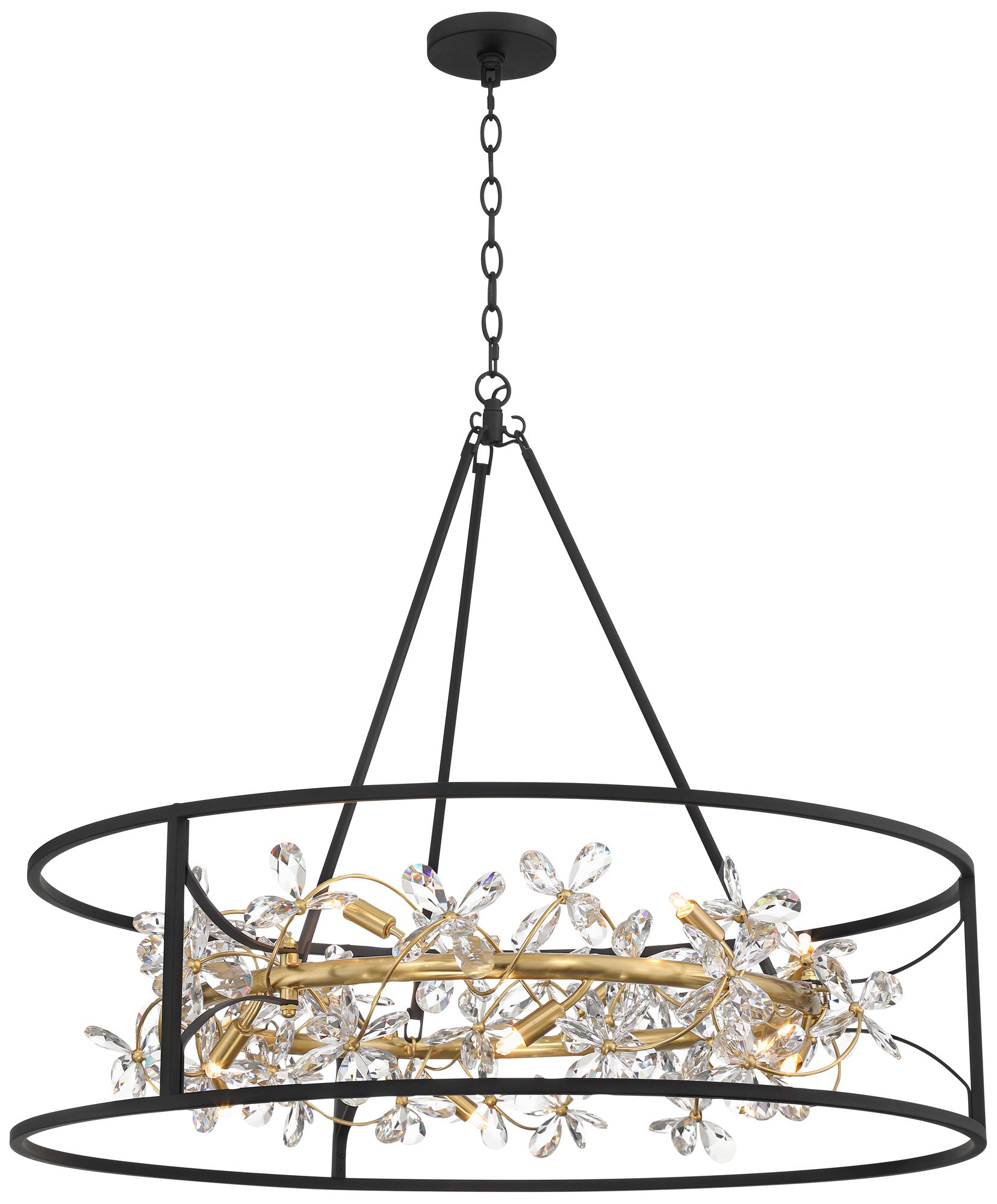 Watch A Video About the Possini Euro Carrine Black and Gold 12 Light LED Ring Pendant