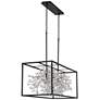 Watch A Video About the Possini Euro Carrine Black and Crystal 8 Light Island Pendant