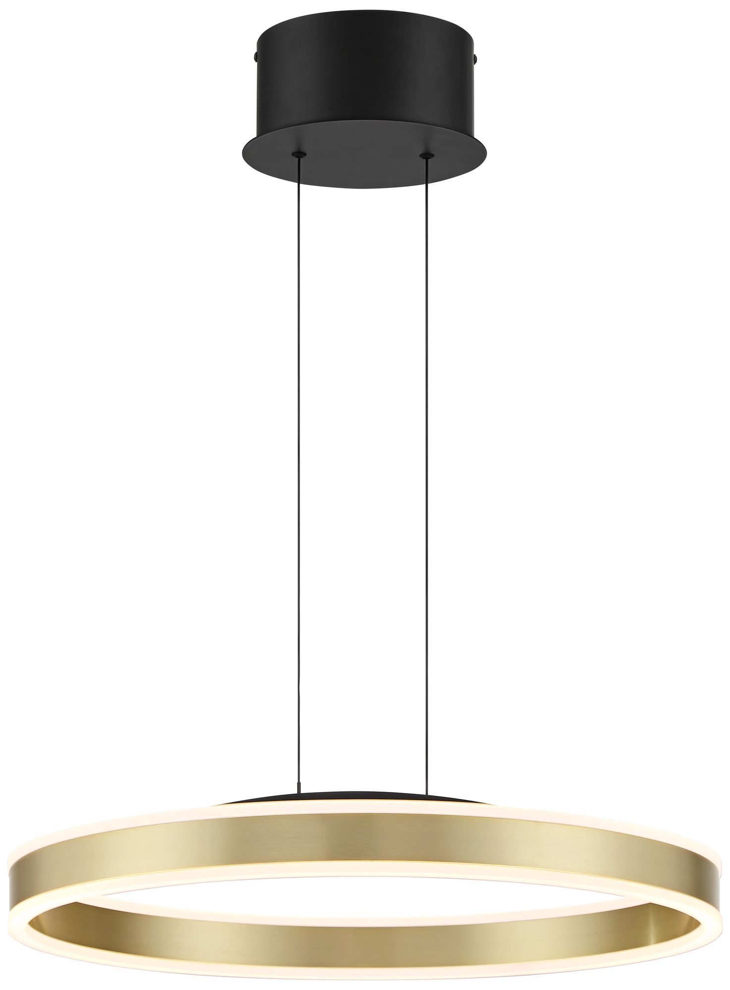 Watch A Video About the Eliza Matte Black Antique Brass LED Ring Pendant Light